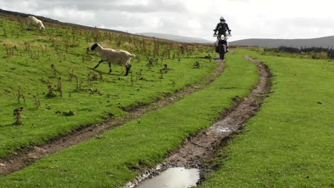 Motorrad-Und-Fahrer-Reisen-Quer-Durchs-Land-Auf-Einer-öffentlichen-Nebenstraße-Im-Mallerstang-Valley-Cumbria