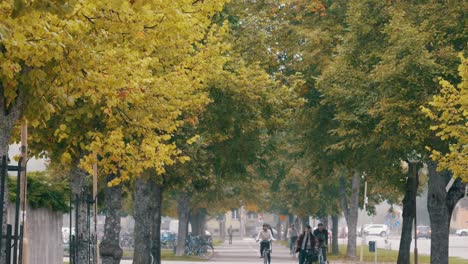 Gente-En-Bicicleta-Al-Trabajo-En-Otoño-Con-Hojas-En-El-Fondo-En-Suecia