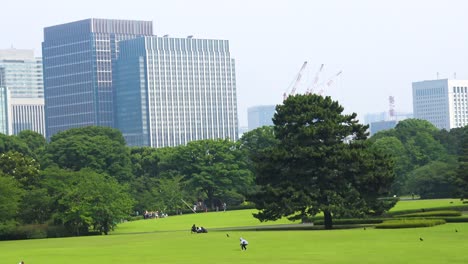 Alejar,-Una-Vista-De-Una-Parte-Del-Palacio-De-Tokio