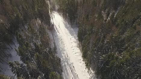 Jährlicher-Skiwettbewerb-In-Aluksne,-Lettland,-Wald-Und-Sonniger-Tag