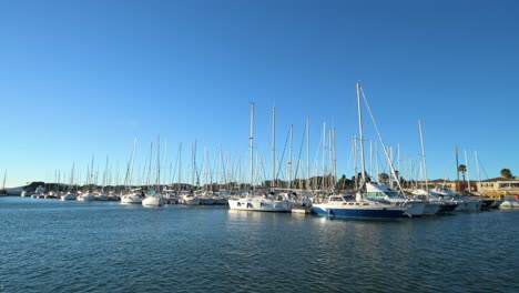 Puerto-De-Miramar,-Cielo-Azul-Y-Día-Ventoso.