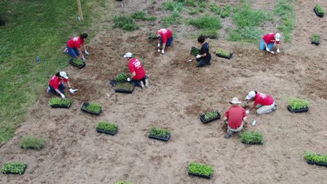 Voluntarios-De-United-Way-Del-Condado-De-Lancaster-Realizando-Trabajo-Comunitario-Caritativo