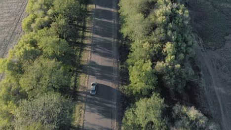 Seguimiento-Aéreo-De-Vehículos-Y-Vehículos-Que-Pasan-Siguiendo-Una-Línea-De-árboles-árboles-Verdes-Y-Campo-Verde