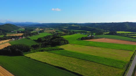 Flying-over-rural-Japan-and-fields-of-crops-on-a-sunny-day