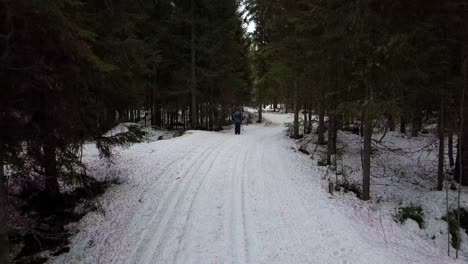 young-boy-cross-country-skiing