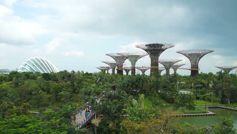 Singapore---Circa-Timelapse-from-the-top-of-the-charming-Singapore-Gardens-by-the-Bay-with-the-flow-of-tourists