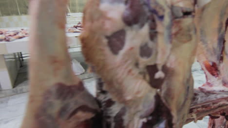 Close-up-panning-view-of-a-Worker-at-a-beef-processing-plant-and-sort-beef-parts,-He-covered-his-head