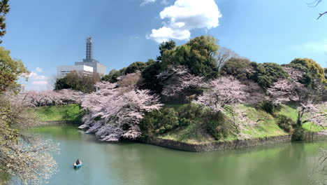 Una-Panorámica-De-Los-Cerezos-En-Flor-Y-Los-Botes-De-Remos-Junto-Al-Foso-Del-Parque-Chidorigafuchi