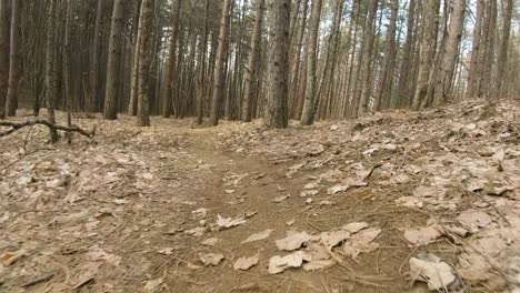 Camera-following-bike-mountain-trail-in-front-of-a-bike