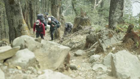 Trekkers-go-on-the-trail-in-the-Himalayan-mountains