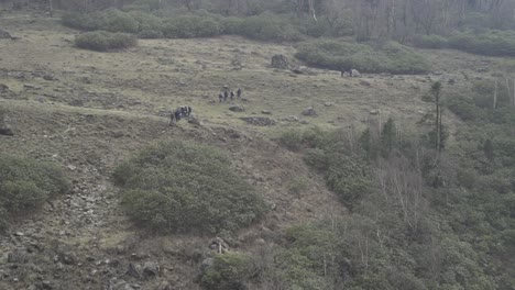 Trekkers-crosiing-a-hill-in-Himalayas,-upper-Himalayas,-Uttarakhand,India-while-on-their-way-to-their-destination-