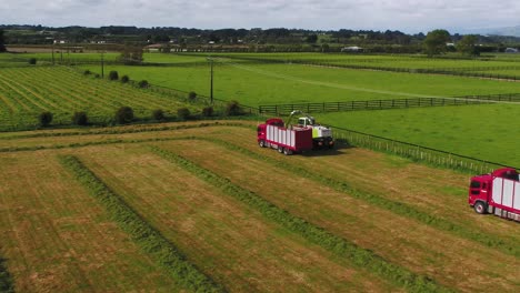 Grass-silage-being-harvested-on-an-organic-new-Zealand-farm