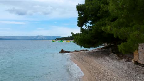 Revelando-La-Playa-De-Ratas-Zlatni,-Paisaje-Croata-Junto-Al-Mar,-Drones-Volando-Bajo-Una-Rama-Baja