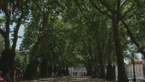 Timelapse-of-a-Park-in-Oporto