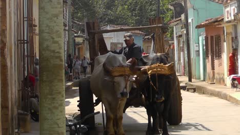 Local-Cuban-farmer-is-waiting-on-his-wheeled,-wooden-cart---pulled-by-two-oxen-–-for-customers-of-his-agricultural-products-in-a-typical-town-street