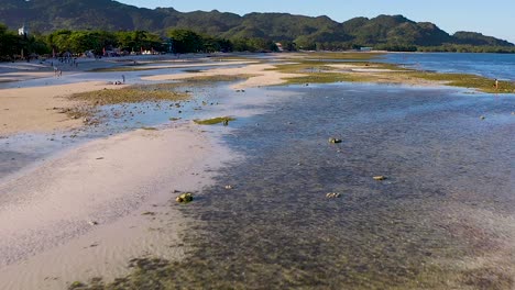 Luftflug-über-Kristallklarem,-Türkisgrünem-Küstenriffwasser-In-Bohol,-Philippinen