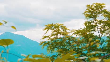 The-Mountain-Along-Side-Houses-And-Trees