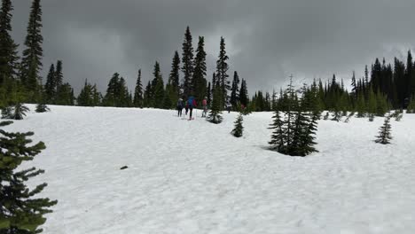 Una-Pareja-Joven-Esquiando-A-Campo-Traviesa-En-El-Paraíso-En-El-Parque-Nacional-Del-Monte-Rainier,-Nieve,-árboles-De-Hoja-Perenne,-En-Su-Mayoría-Nublados,-Cielos-Azules