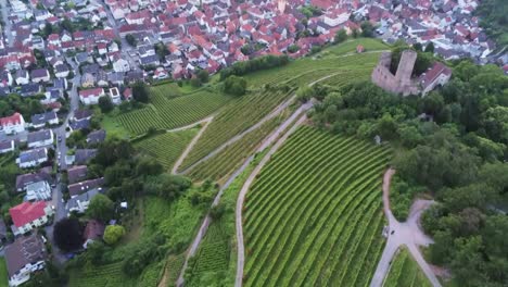 Schwenk-Vom-Weinrebenfeld-Zum-Schloss-Strahlenburg-In-Schriesheim,-Deutschland