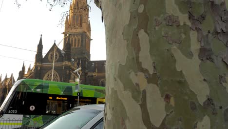 St-Patrick's-Cathedral,-melbourne,-Australia-St-Patrick's-Cathedral-architecture-melbourne-historical-church