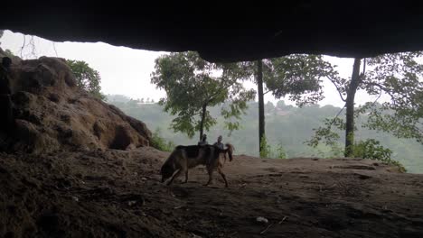 Disparado-Desde-El-Interior-De-Una-Cueva-En-Un-Paso-De-Montaña-En-África-Rural,-Mirando-Hacia-Un-Valle-Exuberante-Mientras-Dos-Hombres-Africanos-Y-Un-Perro-Entran-En-La-Cueva