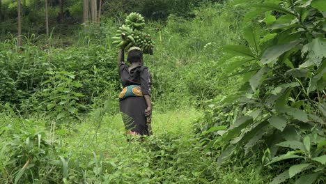 Eine-Afrikanische-Dame-Geht-Einen-Steilen-Hügel-In-Einem-üppigen-Ländlichen-Tal-Hinauf-Und-Trägt-Dabei-Bananen-Auf-Dem-Kopf