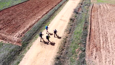 Antena-De-Cuatro-Excursionistas-Caminando-Por-Un-Camino-De-Tierra-Cerca-De-Los-Campos