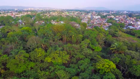 bird's-eye-view-of-the-horizon,-the-city-and-the-forest,-the-way-they-mix-to-form-a-multicolored-mosaic