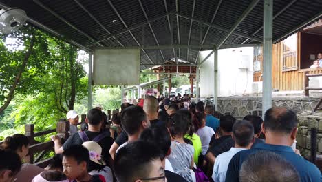 Zhangjiajie,-China---Agosto-De-2019:-Multitudes-De-Turistas-Masivas-En-Una-Cola-Extremadamente-Larga-Para-Recoger-El-Autobús-Dentro-Del-Parque-Nacional-De-Zhangjiajie,-Provincia-De-Hunan