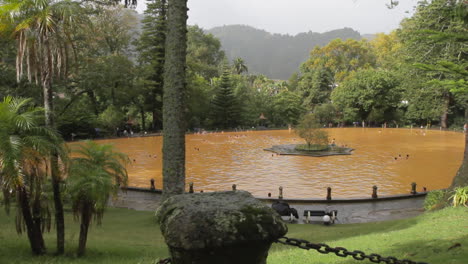 Das-Thermalwasserbecken-Des-Terra-Nostra-Parks-In-Furnas-Auf-Der-Insel-Sao-Miguel