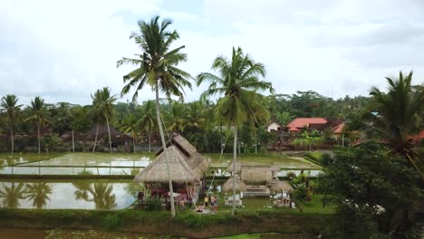 Drone-Shot-of-a-tourist-enjoying-a-swing-between-two-coconut-trees-that-swings-out-over-some-Rice-Terraces-in-Bali,-Indonesia