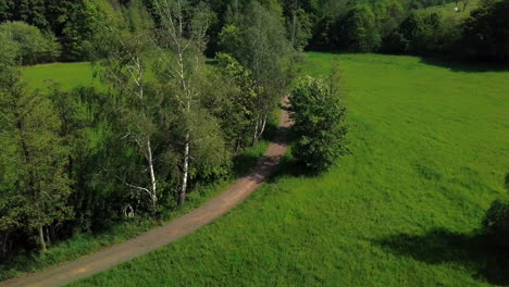 Luftaufnahme-Von-Menschen,-Die-Im-Sommer-Mit-Dem-Fahrrad-Durch-Einen-Gewundenen-Weg-Auf-Dem-Land-Mit-Bäumen-Auf-Beiden-Seiten-Fahren