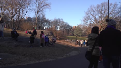 Zona-Verde-Del-Parque-Central-Con-Gente-Caminando-Y-Jugando-Durante-Las-Vacaciones-De-Navidad,-Gran-Angular