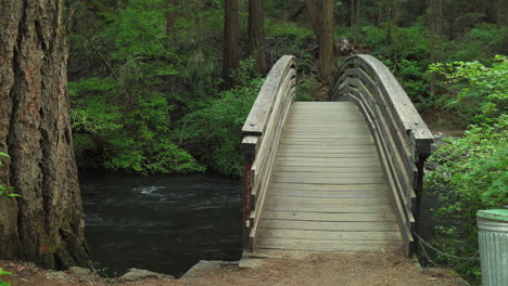 Gente-Caminando-Sobre-Un-Puente-De-Madera-Sobre-Un-Arroyo-Forestal-Que-Fluye,-Cerca-De-Burney-Falls