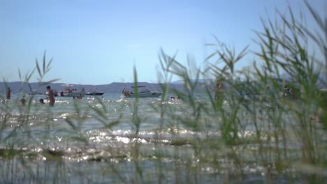 Wide-shot-of-people-in-the-lake-with-boats-docked-nearby,-shot-through-reeds-on-Jamaica-Beach,-Sirmione,-Lago-Garda,-Lake-Garda,-Italy