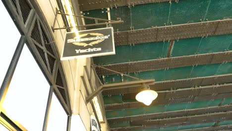 Passing-Ocean-Leisure-Storefront,-Upward-View-with-Green-Ceiling-and-Lanterns