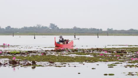 Woman-in-a-red-traditional-fishing-boat-at-Bueng-Boraphet,-Nakhon-Sawan,-Thailand