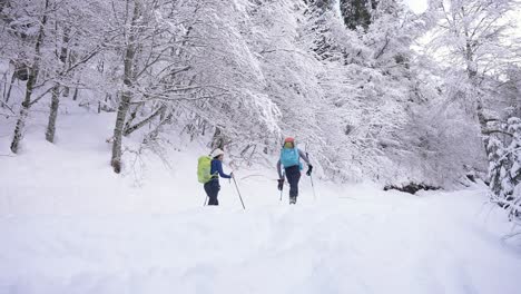 Ein-Paar-Skifahrer-Laufen-Mit-Stöcken-Im-Verschneiten-Zauberwald