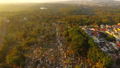 Espectacular-Vista-Aerea-Con-Drone,-De-La-Rotonda-De-Araucarias-De-Xalapa,-Veracruz,-Mexico