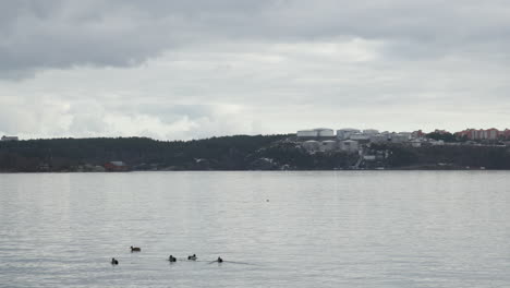 Seaside-Oil-Harbor-in-Background,-Nacka-Stockholm,-Sweden