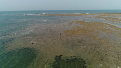 Aerial-view-of-sandy-beach-and-ocean-with-waves