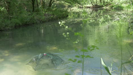 Kleines-Fischernetz,-Das-Ausgeworfen-Wird,-Bodenzubringer,-Fluss,-Bach,-Klares-Wasser,-Wald,-Zeitlupe,-Handgehalten