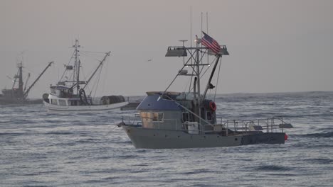 In-Der-Bucht-Von-Monterey-Sind-Kommerzielle-Fischerboote-In-Vollem-Gange,-Da-Es-Auf-Dem-Markt-Reichlich-Tintenfische-Und-Wildlachs-Gibt