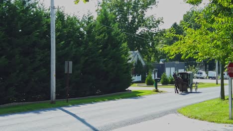 Ein-Amisches-Pferd-Und-Ein-Buggy-Nähern-Sich-Im-Trab-Auf-Einer-Landstraße-An-Einem-Sonnigen-Tag-In-Zeitlupe