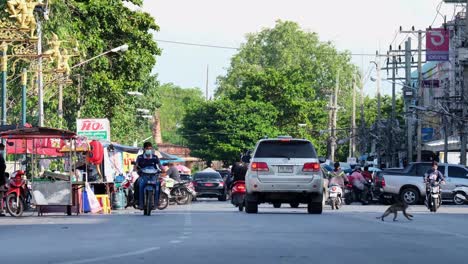 Este-Metraje-De-4k-Muestra-Que-Las-Poblaciones-Humanas-Locales-Lograron-Coexistir-Con-Monos-Macacos-De-Cola-Larga-En-El-área-Urbana-Del-Antiguo-Casco-Antiguo-Lop-Buri-Tailandia-Asia