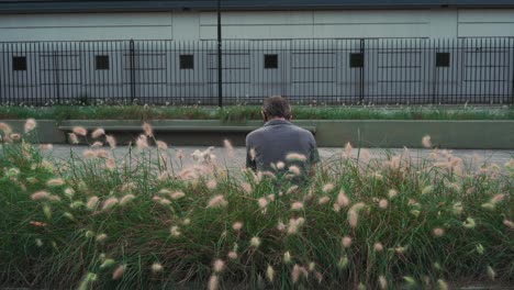 Static-back-view-shot-of-man-and-his-dog-relaxing-on-bench-behind-bushes