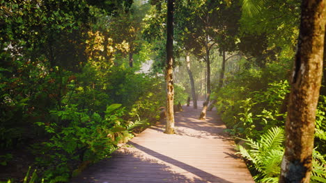 Wooden-pathway-leading-through-the-dense-forest-in-national-park