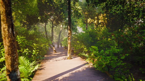 Wooden-deck-path-in-the-forest