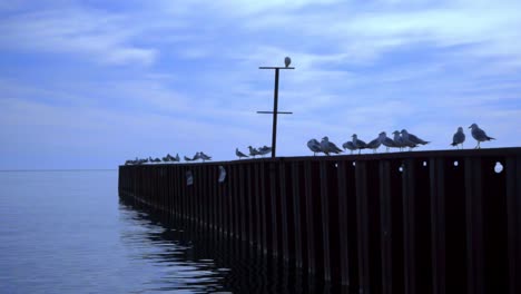 Pier-sea.-Seagulls-on-marine-pier-in-dusk.-Sea-gulls.-Seagull-pier