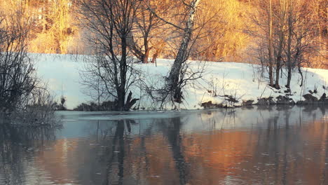 Winterfluss.-Flussufer-Im-Winterwald.-Sonnenlicht-Im-Winterwald
